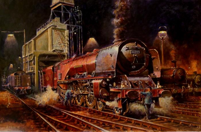Cuneo Duchess on shed copy
